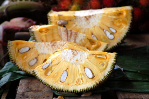 Jackfruit