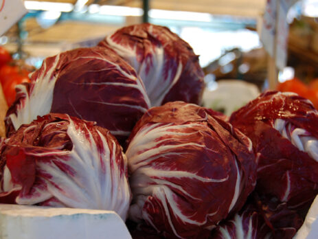 radicchio