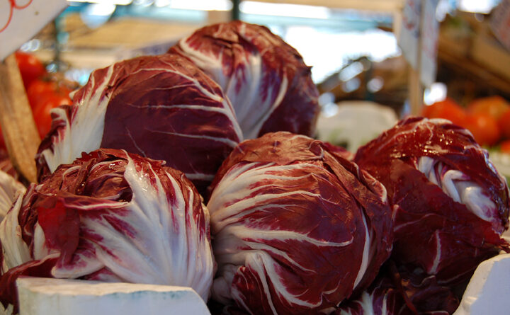 radicchio