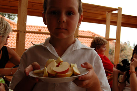 Lakodalom van a mi utcánkban!